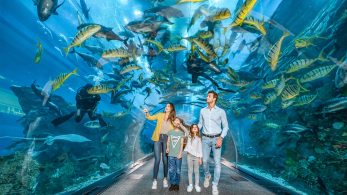 What to Do in Dubai with Kids