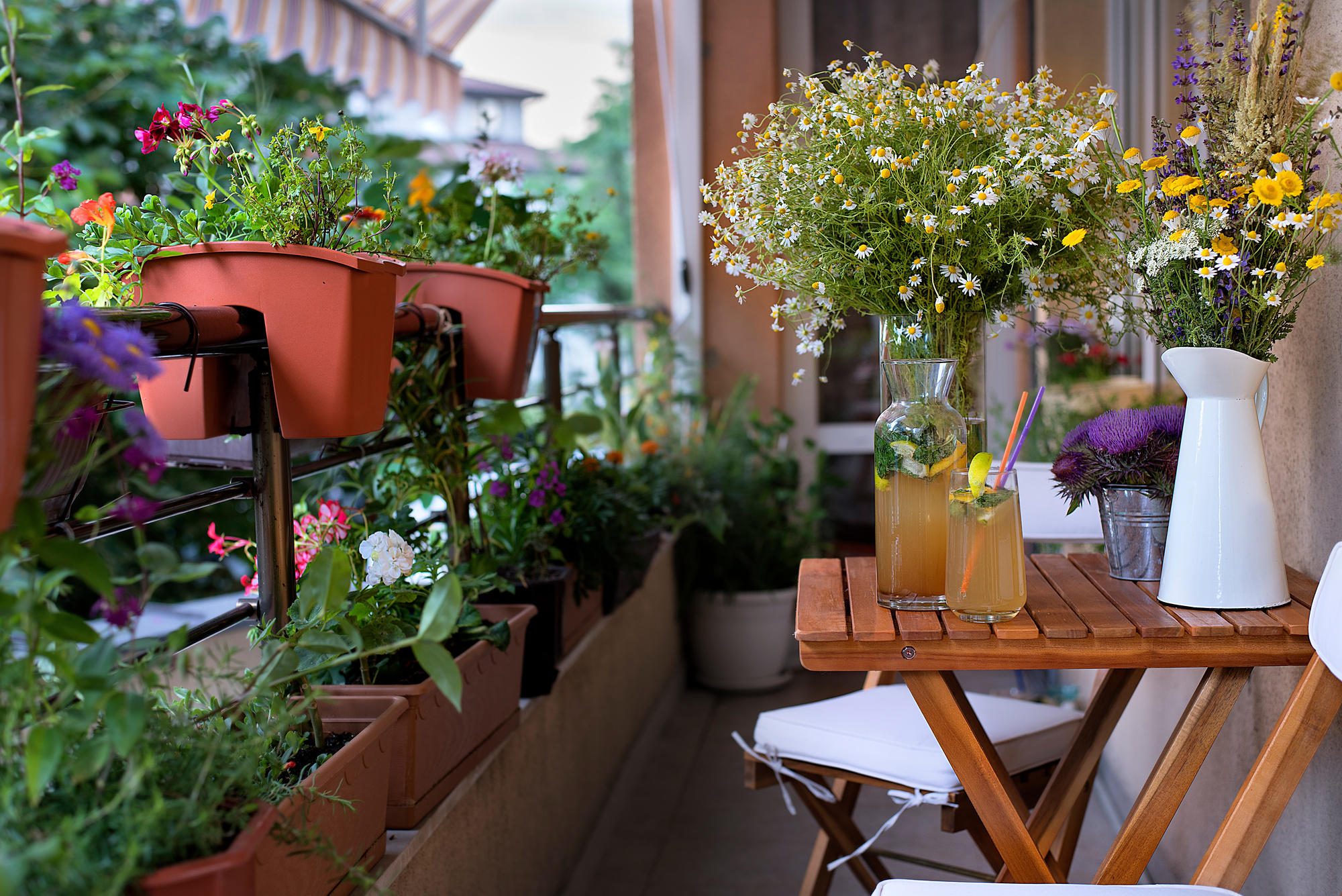 6 Budget-Friendly Ways To Spruce Up Your Balcony