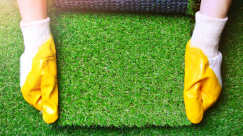 Why Everyone is Obsessed Over Artificial Grass