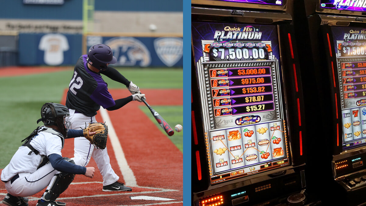 Betting in Sports vs Slots Wagering: Which is better? - HousesItWorld