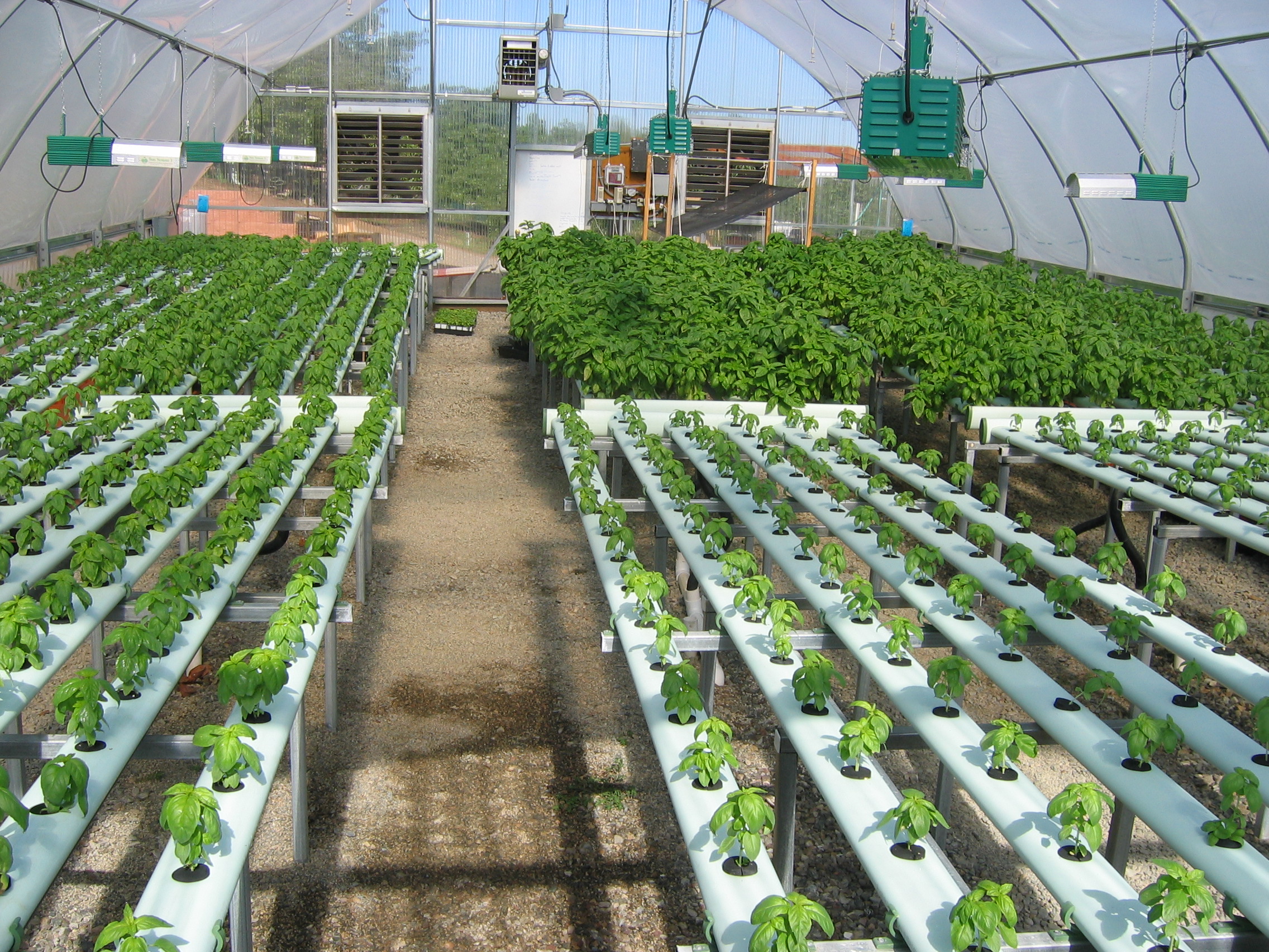 The Battle of the Greenhouses:
