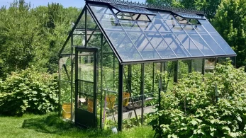 The Many Benefits of a Lean-To Greenhouse in Sustainable Modern Gardening