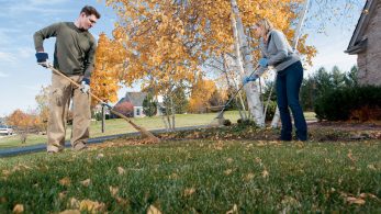 Why Lawn Aeration is Important and How to Do It Right