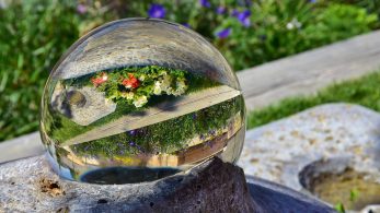 The Power of Glass in Impactful Garden Design