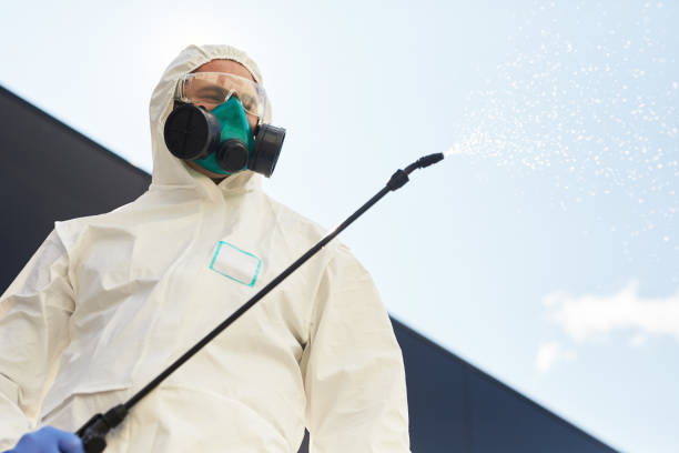 Exterminator Near You: Everything You Need to Know