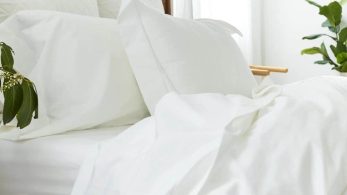 Egyptian Cotton Sheets vs. Polyester Comforters: What’s the Difference