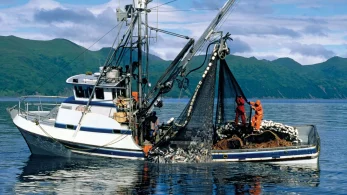 Materials and Other Facts on Fishing Boats You Need To Know