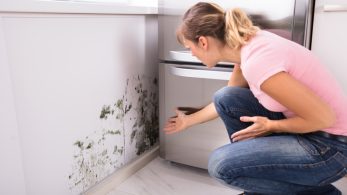 Protect Your Home from Mold