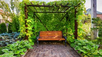Revamp Your Home and Garden: Creative Renovation Tips and Tricks