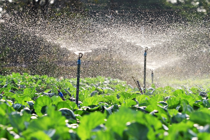 Say Goodbye to Hand Watering: The Benefits of Automated Sprinkler Systems