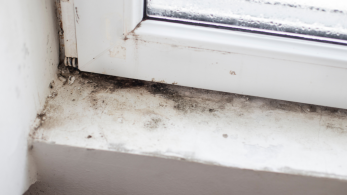 All You Need To Know About Mold Growth and Poor Home Ventilation