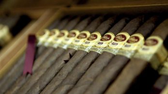 Best Maintenance Tips for Humidors