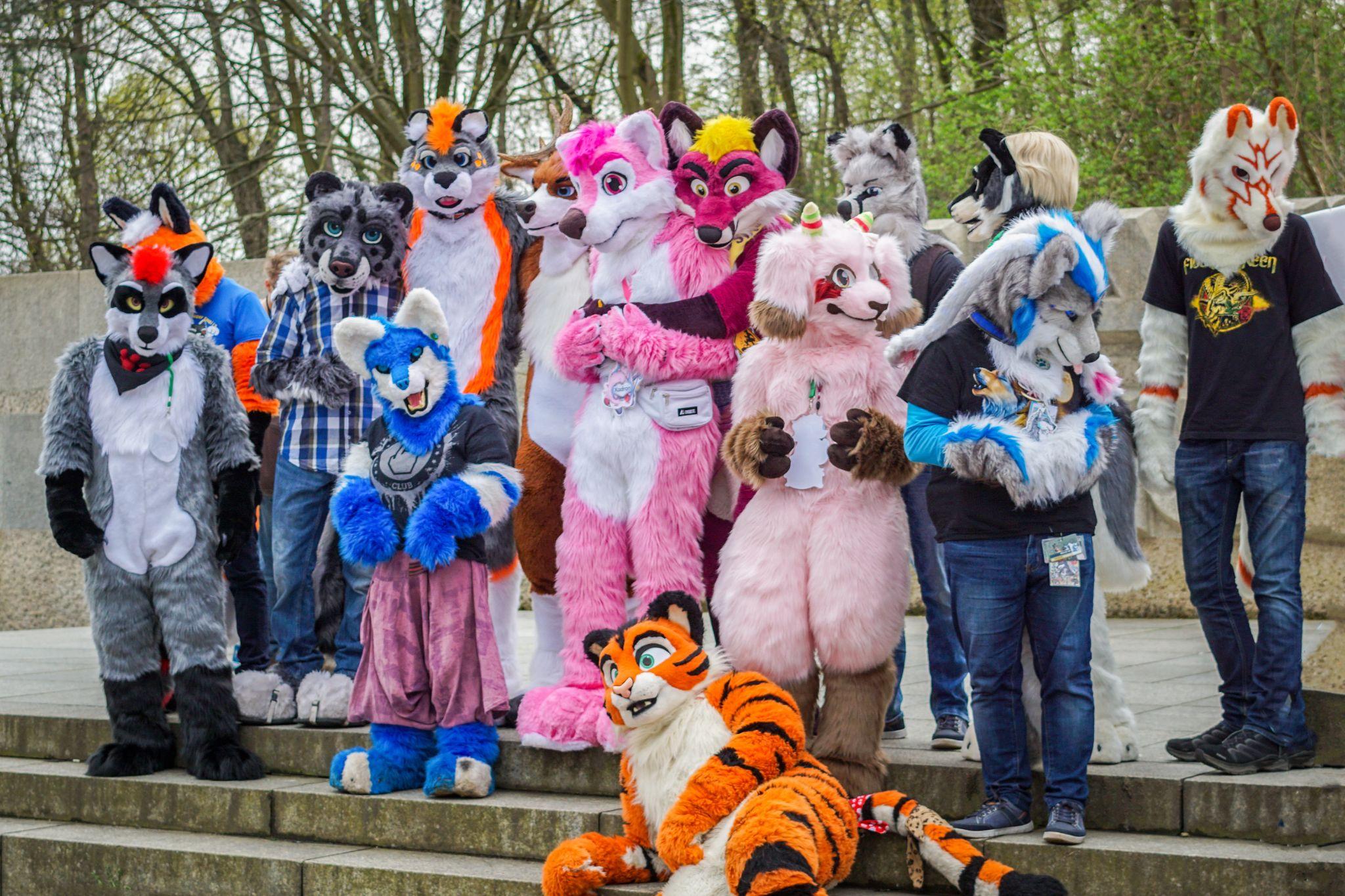 A Look at the Furry Trend and Its Future HousesItWorld