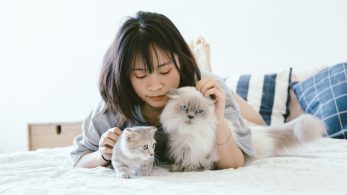 7 Tips for Cleaning A Home with Pets
