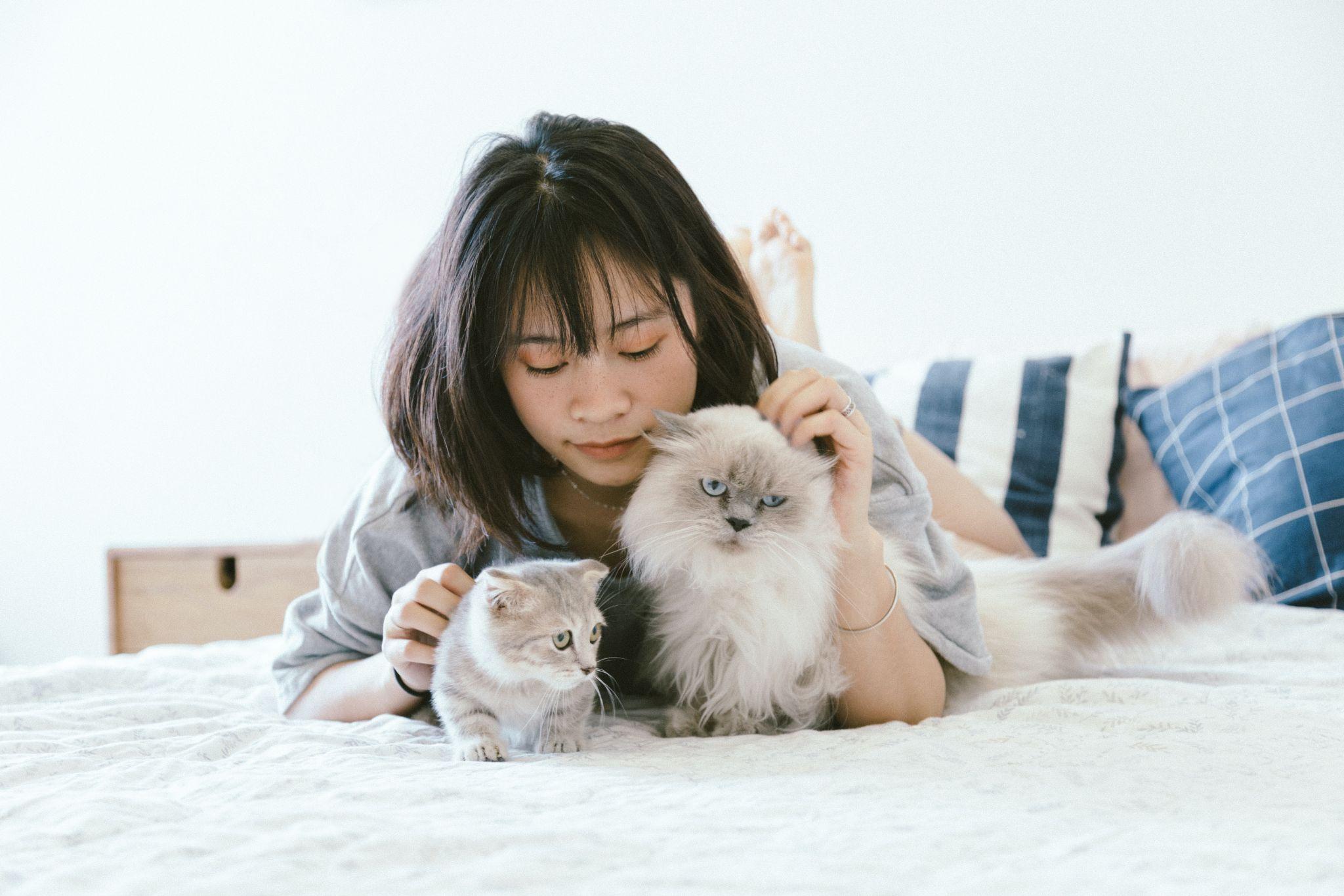 Discover 7 essential tips for maintaining a clean and healthy home with pets, including managing pet hair, controlling odors, and choosing the right cleaning products. Learn how to create a comfortable living environment for both you and your furry friends.