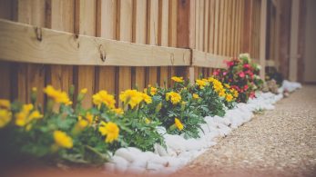 Four Tips for Better Landscaping of Your Home